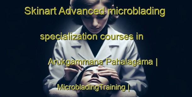 Skinart Advanced microblading specialization courses in Arukgammana Pahalagama | MicrobladingTraining | MicrobladingClasses | SkinartTraining-Sri Lanka